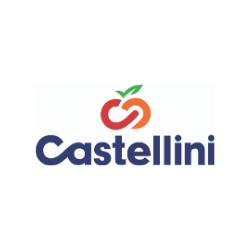 Copy of Untitled (9)